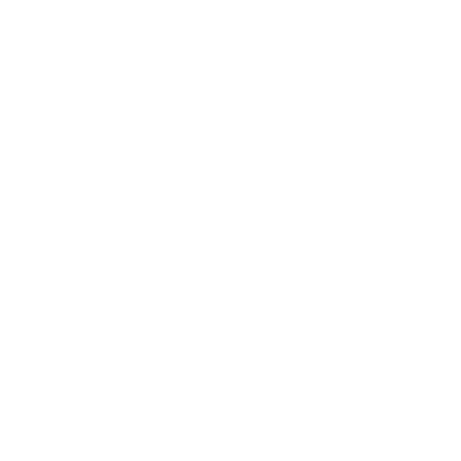 NG TRAX logo